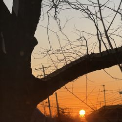 United States Post Office - Sunrise