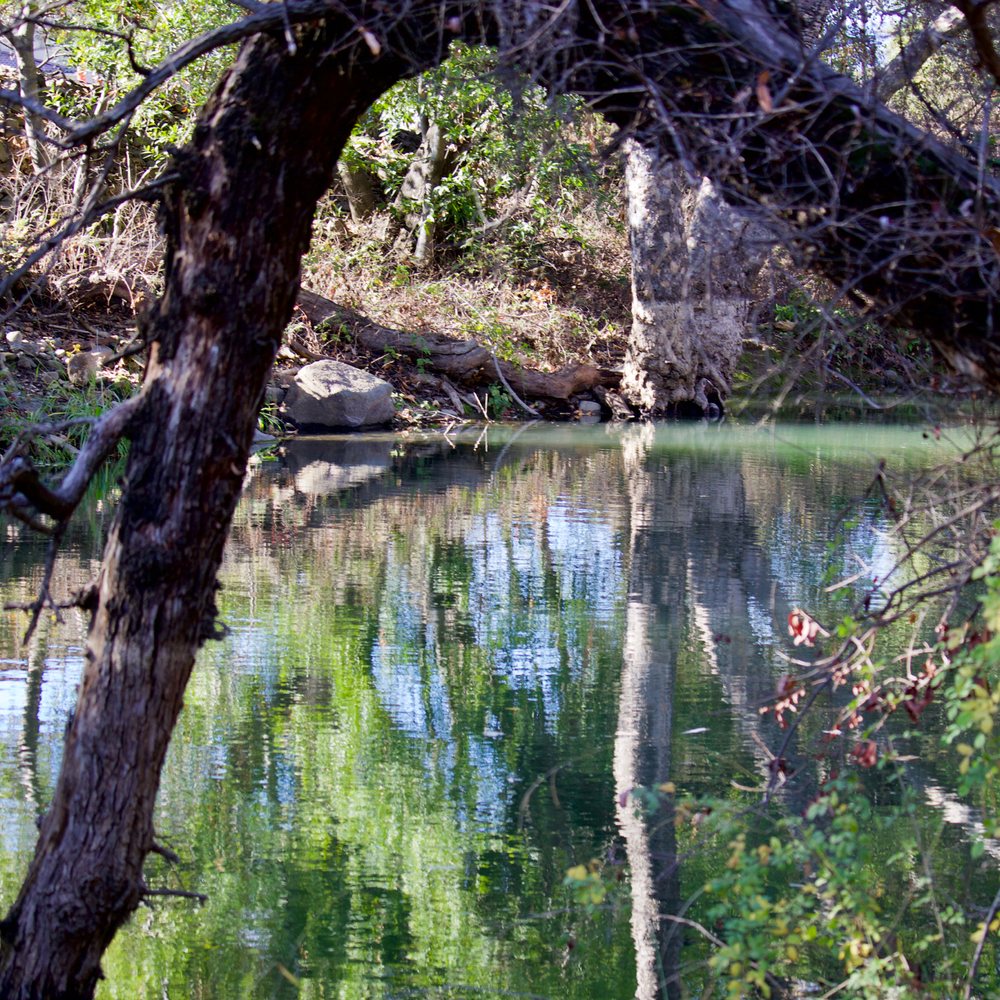 Anderson Lake County Park - ☱Anderson Lake County Park☱ - Parks Near Me - Morgan Hill, California Anderson Lake County Park - ☱Anderson Lake County Park☱ - Parks Near Me - Morgan Hill, California