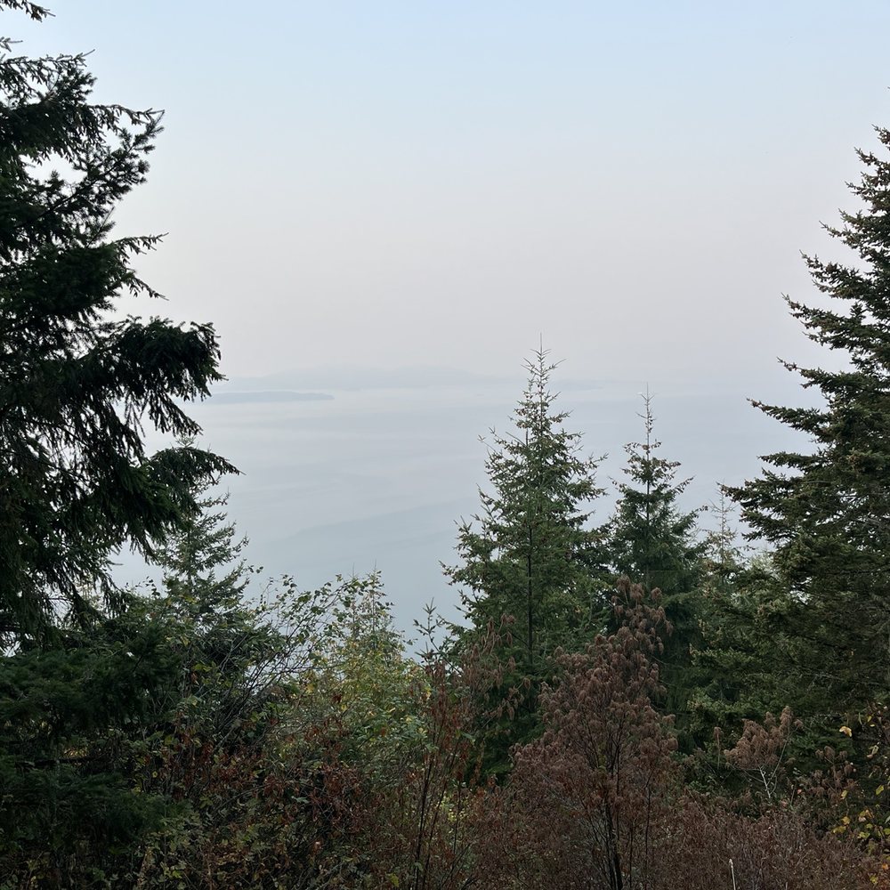Oyster Dome Trail - Beautiful but foggy/smoky view of the bay - Hiking Near Me - Bow, Washington Oyster Dome Trail - Beautiful but foggy/smoky view of the bay - Hiking Near Me - Bow, Washington