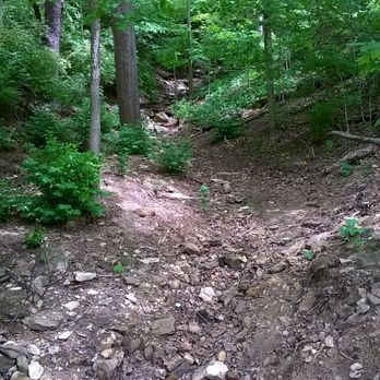 Lower Cascades Park - forest surrounds the park - Hiking Near Me - Bloomington, Indiana