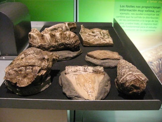 Museo del Palacio Espacio de la Diversidad by null