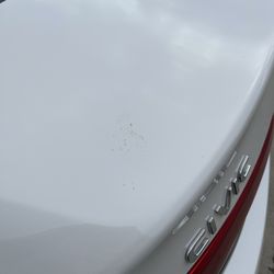 Acme Car Wash - bird poop