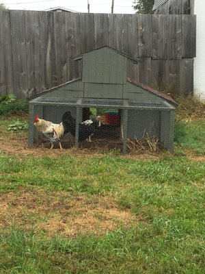 Clarke's Family Farm by null