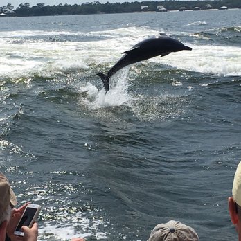 Surf's Up Dolphin Cruises - Boat Tours Near Me - Orange Beach, Alabama