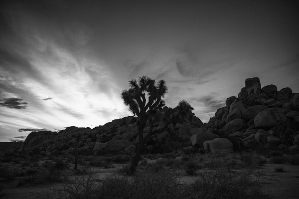 Hidden Valley Campground by null