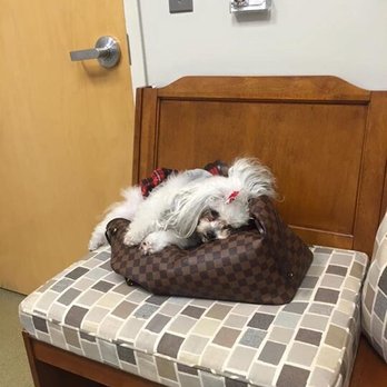 Compass Veterinary Neurology & Imaging - Veterinarians Near Me - Annapolis, Maryland