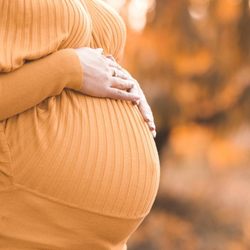 Gainesville Obstetrics and Gynecology