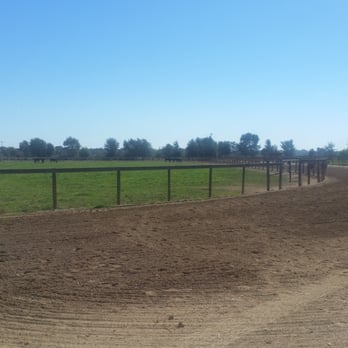Daehling Ranch - Nice training track to train the young horses to jog - Horse Racing Near Me - Elk Grove, California