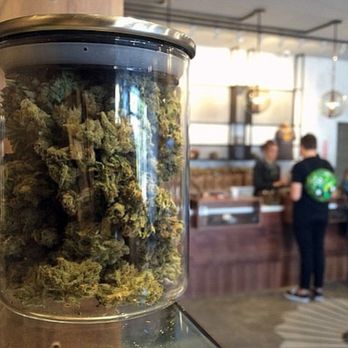 Culture Cafe - Marijuana - Cafes Near Me - Fairfield, Connecticut Culture Cafe - Marijuana - Cafes Near Me - Fairfield, Connecticut