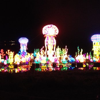 Sunset Cove Amphitheater - Jellyfish, corals and other sea creatures! - Music Venues Near Me - Boca Raton, Florida Sunset Cove Amphitheater - Jellyfish, corals and other sea creatures! - Music Venues Near Me - Boca Raton, Florida