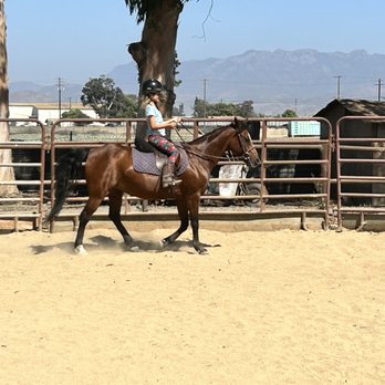 Equestrians Excellence - Ponies are the best - Horseback Riding Near Me - Oxnard, California