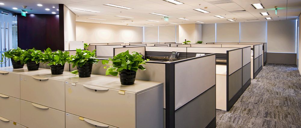 Greener Source - social services organization in Campbell, CA