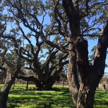 Goose Island State Park - Parks Near Me - Rockport, Texas Goose Island State Park - Parks Near Me - Rockport, Texas