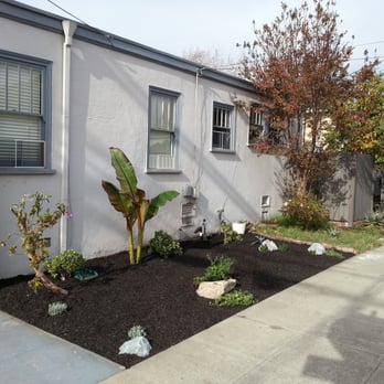 Bountiful Botanicals, Inc. - Landscaping Near Me - Oakland, California Bountiful Botanicals, Inc. - Landscaping Near Me - Oakland, California