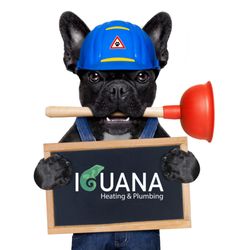 Iguana Heating and Plumbing - Iguana Plumbing Dog