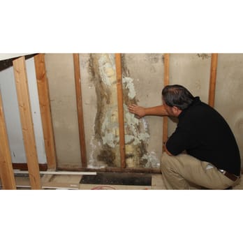 Triune Home Inspection Services - Home Inspectors Near Me Triune Home Inspection Services - Home Inspectors Near Me