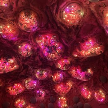 Meow Wolf - Venues & Event Spaces Near Me - Denver, Colorado Meow Wolf - Venues & Event Spaces Near Me - Denver, Colorado