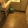 Sylvia's Pro Cleaning