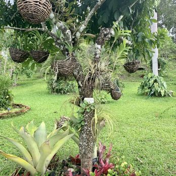 Vallarta Botanical Gardens - Botanical Gardens Near Me - Cabo Corrientes, JAL Vallarta Botanical Gardens - Botanical Gardens Near Me - Cabo Corrientes, JAL