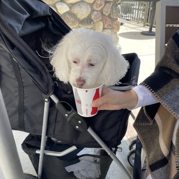 Ozen - Fluffy was thirsty - Ramen Near Me - Rancho Cucamonga, California Ozen - Fluffy was thirsty - Ramen Near Me - Rancho Cucamonga, California
