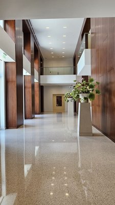 Arkansas Museum of Fine Arts by null