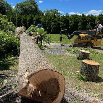 Kelly's Tree Service - Tree Services Near Me - Staten Island, New York
