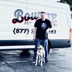 Bow Tie Animal Transport