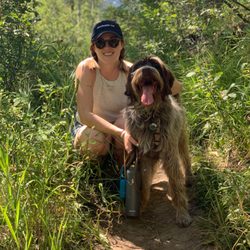 Ponderosa Paws Dog Training