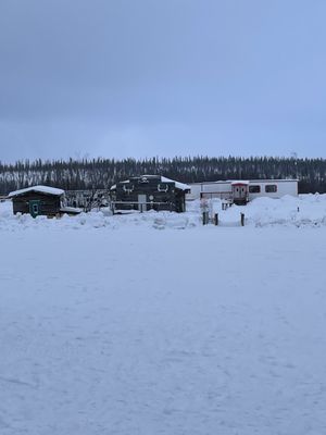 Northern Alaska Tour Company by null