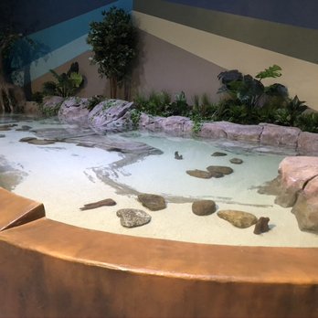 Living Shores Aquarium - Shark tank - Aquariums Near Me - Glen, New Hampshire