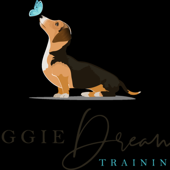 Doggie Dreamz - Dog Walkers Near Me Doggie Dreamz - Dog Walkers Near Me