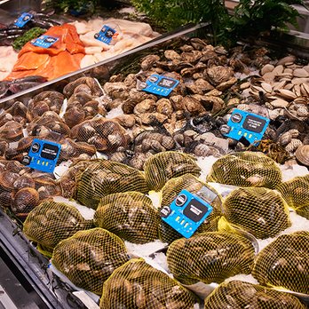 Harris Teeter - a display of fresh seafood - Pharmacy Near Me - California, Maryland Harris Teeter - a display of fresh seafood - Pharmacy Near Me - California, Maryland