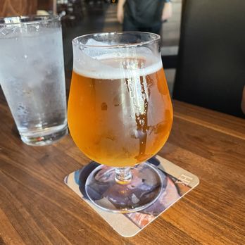 Yard House - Honey Love Beer - Bars Near Me - Sunrise, Florida Yard House - Honey Love Beer - Bars Near Me - Sunrise, Florida