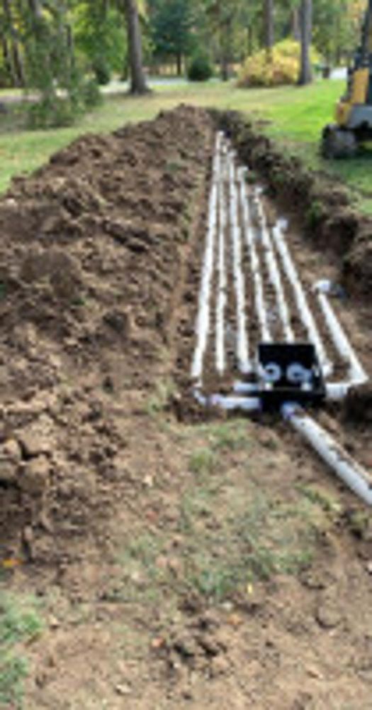 Slide of Bianca Excavating