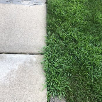TruGreen Lawn Care - a patch of grass growing between two concrete steps - Tree Services Near Me - Minnetonka, Minnesota TruGreen Lawn Care - a patch of grass growing between two concrete steps - Tree Services Near Me - Minnetonka, Minnesota