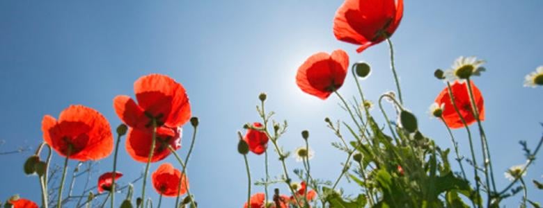 Psychic Medium Debbie Pakler, PhD - grief counselor in Pittsburgh, PA