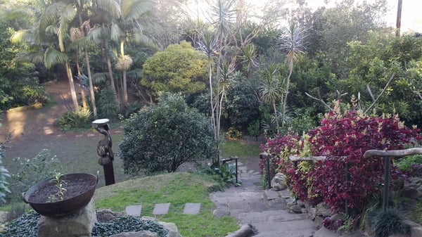 Wendy Whiteley's Secret Garden by null