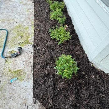 DC Construction and Landscaping - Improper coverage. If it worked it would mostly water just patches of pool decking and a little mulch. - Landscaping Near Me - Jacksonville, Florida