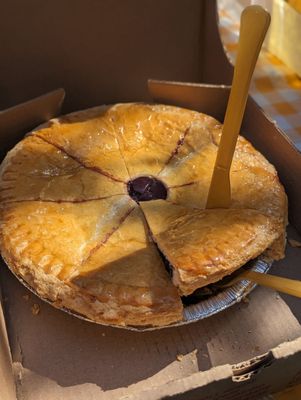 Carousel Cakes by null