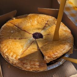 Carousel Cakes - Blueberry