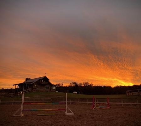 Querencia Stables - equestrian in Dripping Springs, TX