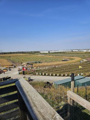 Siegel's Cottonwood Farm by null