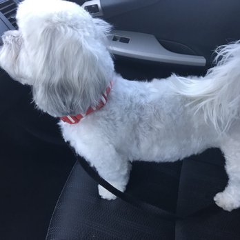 Bark Bath N' Beyond - Pet Groomers Near Me - Oceanside, California