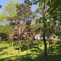 İTÜ