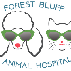 Forest Bluff Animal Hospital - Forest Bluff Animal Hospital, opening April 1st!