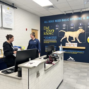 Scenthound South Naperville - Pet Groomers Near Me - Naperville, Illinois Scenthound South Naperville - Pet Groomers Near Me - Naperville, Illinois