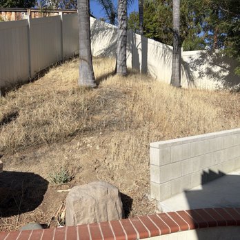 Leandro Tree Service - Hill with weeds and dead grass before clearing - Tree Services Near Me - Perris, California