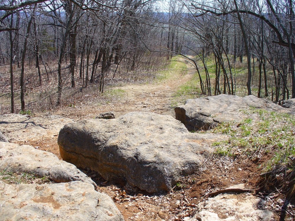 Monkey Mountain Nature Preserve - equestrian in Oak Grove, MO