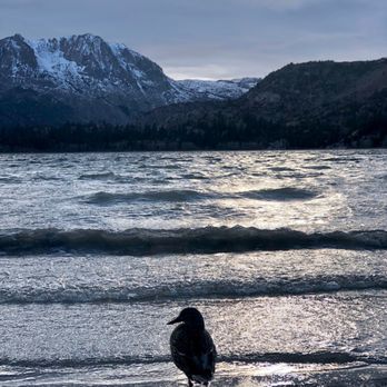 June Lake - June Lake Beach - Lakes Near Me