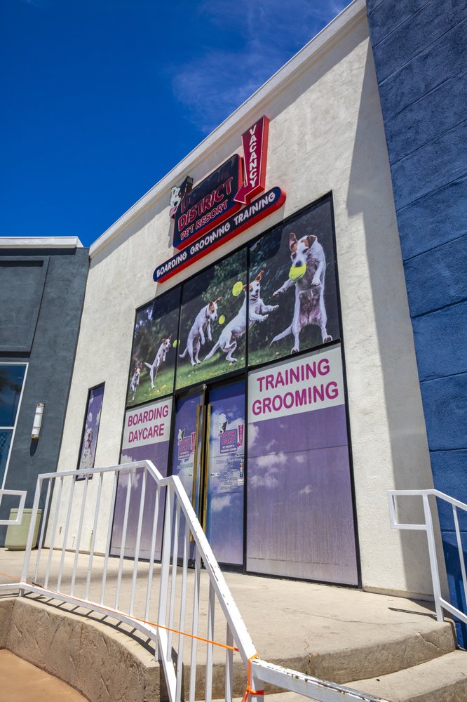 DOGGIE DISTRICT GRAND CANYON Updated October 2024 87 Photos & 55